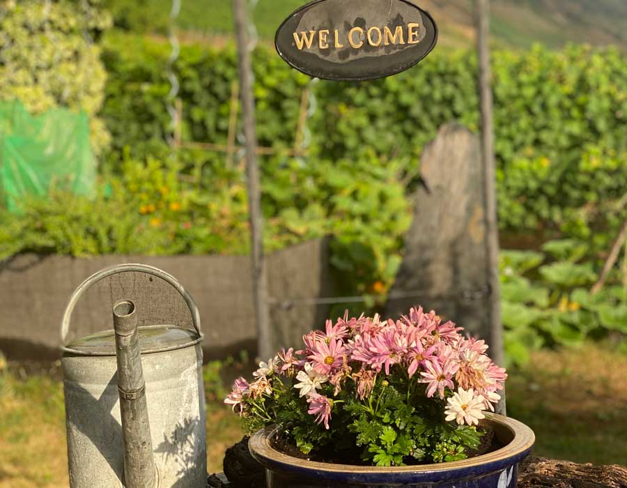 Weingut